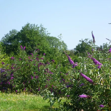 Le Pommenial De La Herissonniere Bed & Breakfast Saint-Aubin-de-Bonneval