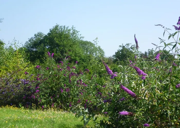 Le Pommenial De La Herissonniere 住宿加早餐酒店 Saint-Aubin-de-Bonneval